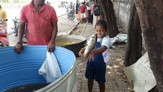 Fish MarketChintal Hyd10Nov2024 [upl. by Larrej575]