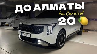 Kia Carnival 2024 под ключ 238🍋 [upl. by Werdma]