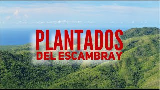 PLANTADOS Presos del Escambray HABLAN [upl. by Omland731]