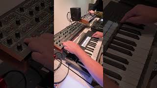 Arpeggiator patterns w the Launchkey 37  Prophet5 [upl. by Beore]