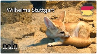 Wilhelma Stuttgart Einer der meist besuchten Zoologischen Gärten Deutschlands [upl. by Ardnosal]