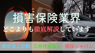 【14分で業界研究】損保業界とはビジネスモデルから3メガ損保の企業研究まで徹底解説 [upl. by Erinn]