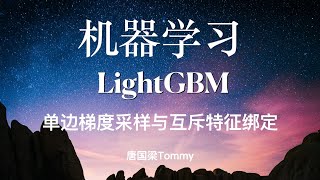 LightGBM04 单边梯度采样与互斥特征绑定 [upl. by Alisan784]