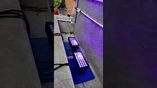 Outdoor IP65 waterproof 40 LEDs 4in1 led city color light waterproof test outdoorlighting [upl. by Handbook441]