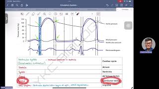 Cardiac Cycle  Heart Pressure amp Electrocardiogram Wiggers Diagram [upl. by Tammie]