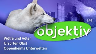 objektiv  Menschen Leben RheinlandPfalz 141 [upl. by Eremaj]