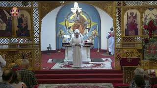 Saint Maurice Coptic Orthodox Church Live Broadcast  Channel 2 [upl. by Lareneg]