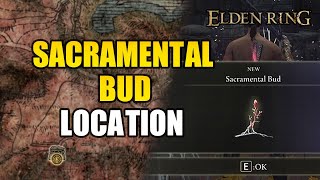 Elden Ring  Sacramental Bud Location Find Loads [upl. by Owiat]