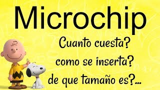 TODO acerca del MICROCHIP en PERROS Duele Precio Como funciona I Lorentix [upl. by Sheffield]