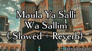 Maula Ya Salli Wa Sallim  slowed amp reverb [upl. by Filia]