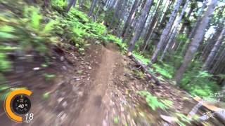 Springboard Trail at Alsea Falls [upl. by Lain400]