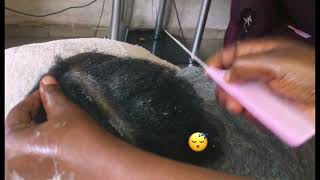 Attentive greasing of dry scalp with gentle sound [upl. by Iveel]