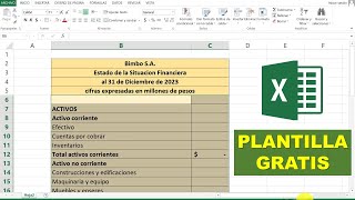 Estado de Situación Financiera paso a paso en Excel PLANTILLA GRATIS [upl. by Ennove730]