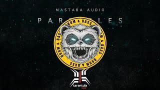 Mastaba Audio  Particles Tarantula Music  Media Records EVO [upl. by Assetan]