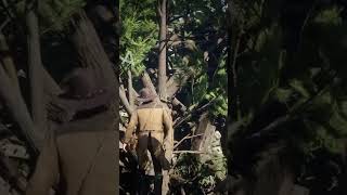 🔥 En esta UBICACIÓN encontrarás un BOTÍN SECRETO de RED DEAD REDEMPTION 2 😱 shorts arkaygamingtv [upl. by Ettevets]