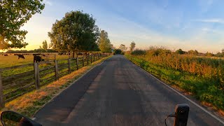 Wigginton to Strensall on a BMW G310R [upl. by Zetnom86]