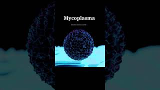 What is MycoplasmaMycoplasma charactersmicrobiologymicroorganismsminivlogfactshealthscience [upl. by Cira533]