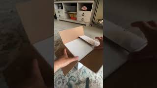 Unboxing Australian Frilled Dragon🇦🇺 frillednecklizard frilleddragon lizard reptile unboxing [upl. by Dwaine]