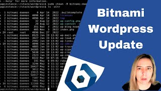 Update Wordpress from terminal on Lightsail Bitnami [upl. by Aihsyla]