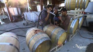 Vine to Wine Winemaking  Naggiar Vineyards [upl. by Antipus293]