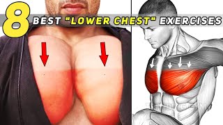 Lower Chest Workout  8 Best Chest Exercises [upl. by Phio]