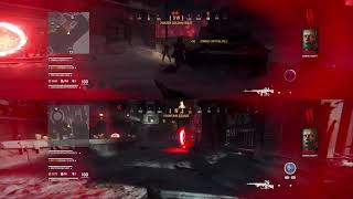 Call of Duty Vanguard Zombies Split Screen Glitch Gameplay [upl. by Attenol654]