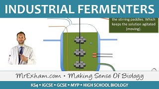 Food Production  Biotechnology  Fermenters  GCSE Biology 91 [upl. by Iblehs]