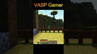 Minecraft  VASP Gamer shorts gaming trending viral minecraft vasp [upl. by Natan855]