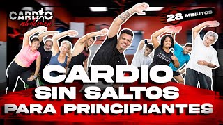 CARDIO SIN SALTOS para PERDER PESO RAPIDO  PRINCIPIANTES  28 minutos [upl. by Levins]