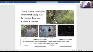 Creepy Creepy Crawling Spider [upl. by Rotberg]