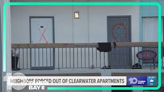 Clearwater apartment tenants must vacate with days notice after flooding from Milton [upl. by Lazaruk514]