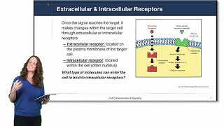 Cell Physiology Cell Signaling [upl. by Almira]