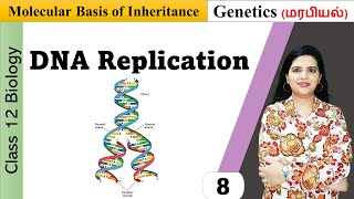 DNA Replication  Enzymes and mechanism of replication [upl. by Leah]