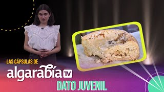 Algarabía TV  Dato juvenil  Comidas raras [upl. by Ecinnej]