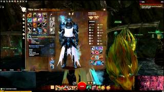 Define HC  GW2  DPS Warrior Build From 151013 [upl. by Durrej]