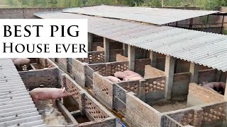 You Will Love This Style Of Modern Pig House Building Modern Pig Farming Success [upl. by Diarmuid]