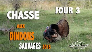 Chasse aux dindons sauvages 2018 jour3 conclusion Saison 1  Épisode 4 [upl. by Siloa]