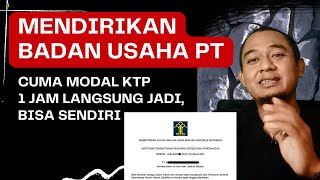 CARA MUDAH MENDIRIKAN PT PERORANGAN hanya dengan NPWP [upl. by Kcirad491]