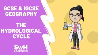 The Hydrological Cycle  GCSE amp IGCSE Geography [upl. by Dviad]