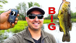 BIG Bass Challenge on the Ottawa River [upl. by Dloniger948]