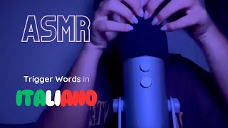 ASMR ITA 🇮🇹 Trigger Words Mic Scratching amp Carezze 🍪 SUPER RILASSANTE [upl. by Assereht]