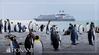 Les croisières en Antarctique avec Michel Rocard  PONANT [upl. by Airalav]