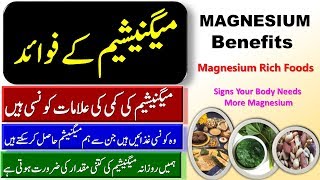 Magnesium Benefits  Foods High In Magnesium  Low Magnesium Symptoms Health Information Hindi Urdu [upl. by Daggett]