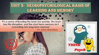 Unit 3 MPC001 Neuropsychological Basis of Learning amp Memory  Introduction Block 1 ignou Part 1 [upl. by Budd]