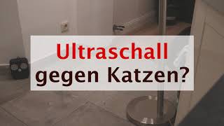 Hilft Ultraschall gegen Katzen Hier im Test  MiniExperiment [upl. by Edyth]