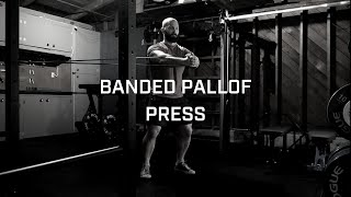 Banded Pallof Press [upl. by Akenihs]