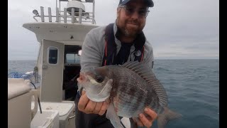 Big Black Bream [upl. by Chesnut667]