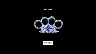 Steve Angello amp AN21 feat Franz Novotny  Last Dance [upl. by Ernaldus]