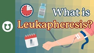 What is leukapheresis myeloma [upl. by Hametaf713]