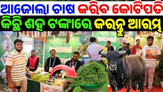 Best Low price Azolla feed farming heavy profit business idea income Odisha from State Bio Chemist [upl. by Enylekcaj320]